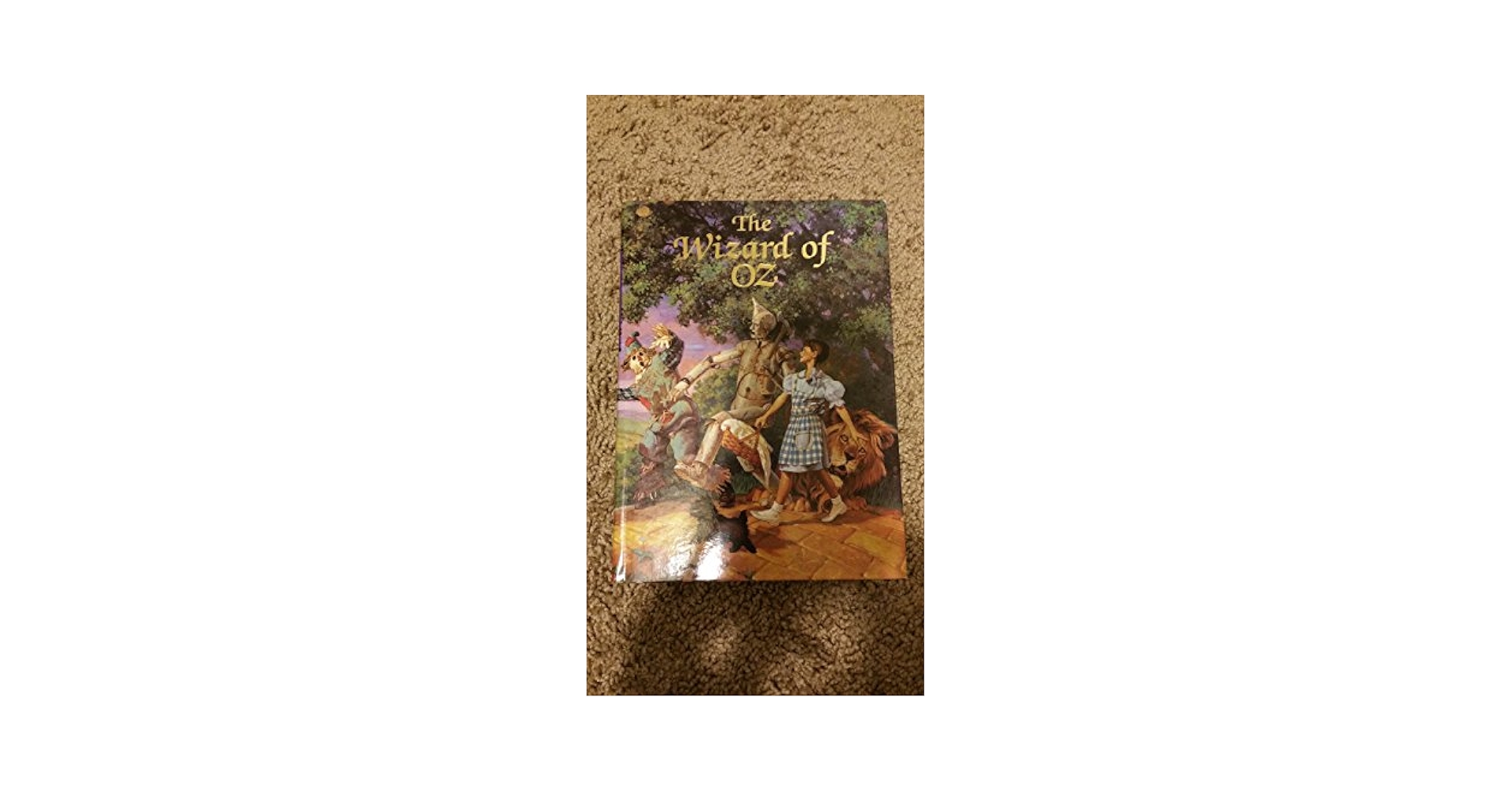 Amazon.com: The Wizard of Oz (Illustrated Junior Library