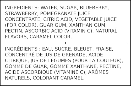 Torani Real Fruit Blueberry Pomegranate Smoothie Mix, 64 fl oz - image 3