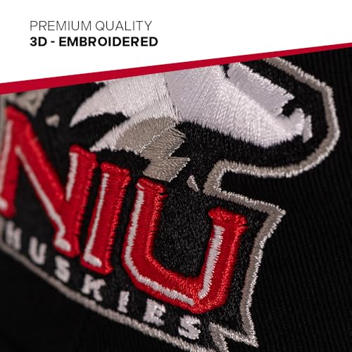 Desert Cactus Northern Illinois University Baseball Cap miniatura 3