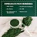 Imagen de NaturaleBio Espirulina en Polvo Pura Bio No Irradiada