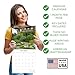 2026 Cottage Gardens Calendar - Scenic Wall Calendar - 12 x 24 Open - Thick No-Bleed Paper - 14 Month Planner Calendar Organizing & Planning