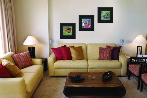 King Silk Art 100% Handmade Embroidery Colorful Butterfly On Flowers Chinese Print Framed Whildlife Butterfly Painting Anniversary Wedding Birthday Party Gift Oriental Asian Wall Art Decoration Artwork Hanging Picture Gallery 33018Wfb2 #TOP2