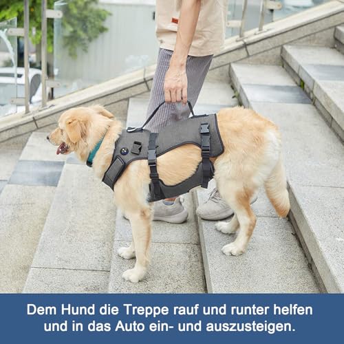 COODEO-Hundegeschirr-Ganzkoerperstuetze-und-Erholungsweste-verstellbar-und-atmungsaktiv-fuer-aeltere-behinderte-gelenkverletzte-arthritische-und-gelaehmte-Hunde-Schwarz-L - sparfuchs24.io – Top Angebote, Tests & Preisvergleiche
