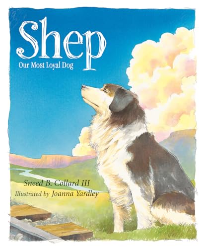 Shep: Our Most Loyal Dog (True Story)