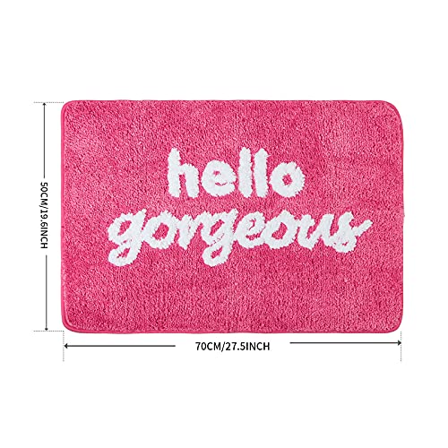 Fancy Soft Water Absorbent Bathroom Rug Shag Microfiber Shower Bath Rug Washable Pink Purple Plush Bath Mat 19.6" X 27.5" (Pink) #TOP1