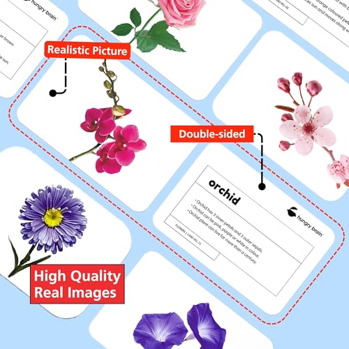 Image of Hungry Brain Flowers Baby Flash Cards 3 Months+ | Montessori Learning Cards for Toddlers | Early Brain Development Toy | Improve Vocabulary, Memory & Cognitive Skills | Educational Gift for Kids