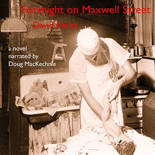 Fortnight on Maxwell Street by David Kerns episode artwork