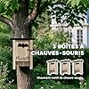 PawHut Ensemble de Trois boîtes à Chauves-Souris, nichoir Chauve-Souris, Plateforme d'atterrissage Exclusive aux Chauves-Souris, avec Un Crochet, en Bois Massif, 18 x 6 x 22,5 cm, Bois Naturel