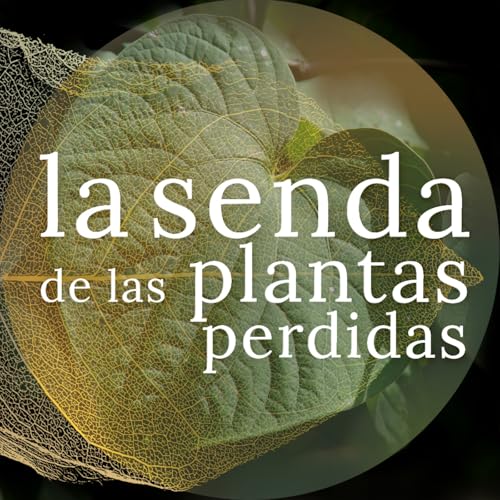 Un sorbo de silencio al atardecer: Piper methysticum {La Senda de las Plantas Perdidas 098}