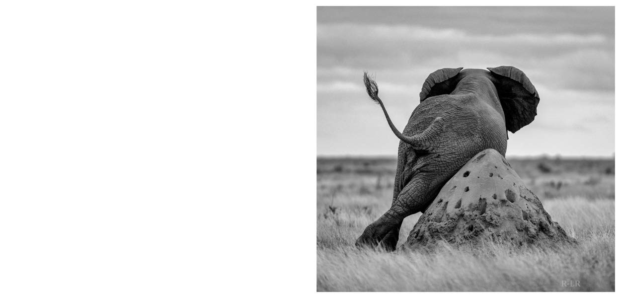 Nor dread nor hope attend: Photographs From The Plains of Africa