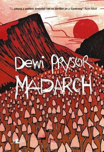 amazon-madarch-welsh-edition-9781847710109-dewi-prysor-books