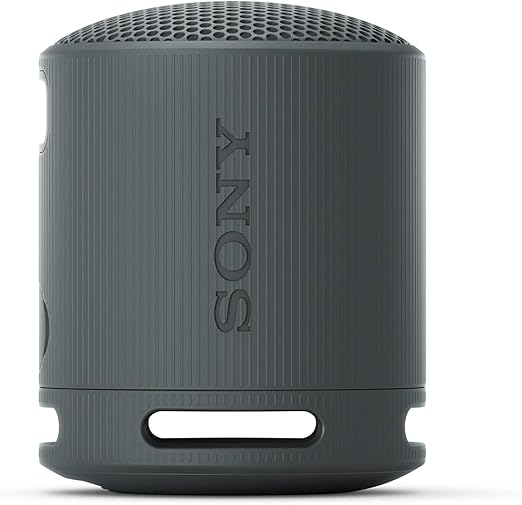 Sony SRS-XB100