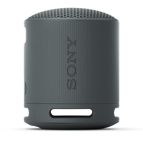 SONY SRS-XB100