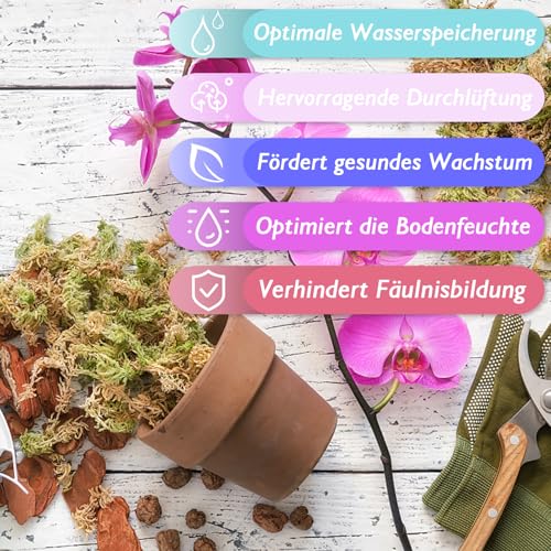 Halatool 500g Sphagnum Moos für Pflanzen,Natürliches Langfaser Torfmoos – Ansicht 3