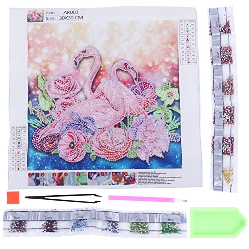 Rhinestone Painting Kit DIY Exquisite Bright Colors Antioxidant No Fading Rhinestone Art Kits for Adults Kids Family Craft Activity 30x30cm Christmas Gifts (AK003)