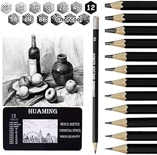 Surcotto Drawing pencils, professional sketching pencils set, 3 charcoal pencils+9 sketch pencils (2H-8B) for artist and beginner, with eraser and sharpener, 14 count in total