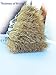 NOJOYA Paint Brushes, 5 Piece Bristle Paint Brush Set