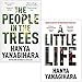 Produktbild The People in the Trees & A Little Life By Hanya Yanagihara 2 Books Collection Set