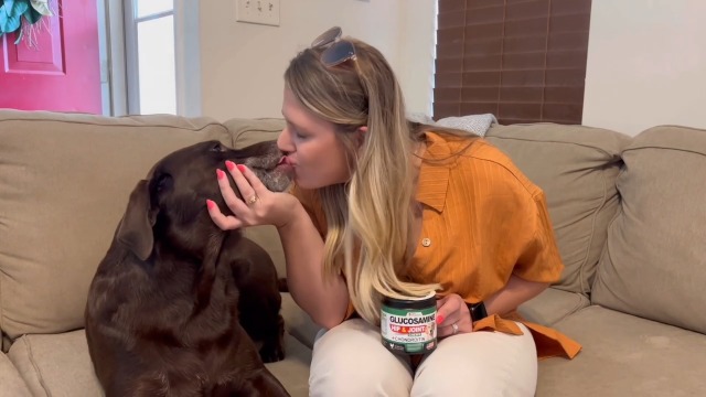 Vet Promise Glucosamine for Dogs - Hip and Joint Supplement for Dogs - Glucosamine Chondroitin - Joint Pain Relief Pills - MSM - Advanced Health Support Supplement - 120 Mobility Chews - Made in USA - image 7