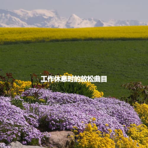 Amazon Music Restaurant Bossa Nova Deluxe Calming Instrumental Jazz