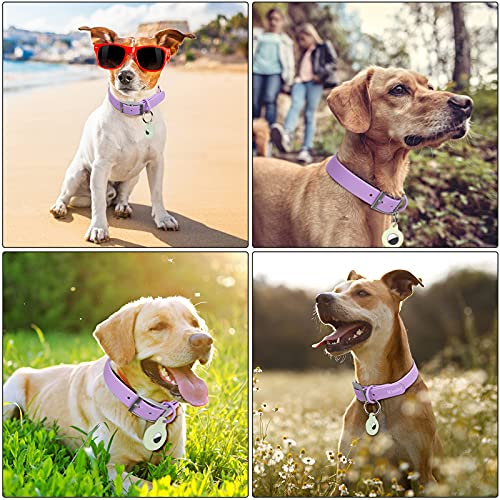 Adjustable Dog Collar With Airtag Holder: Durable Dog Collars, Soft Rubber Coated Webbing, Waterproof And Easy To Clean, For Small Medium Large Dogs (S, Lilac) #TOP6