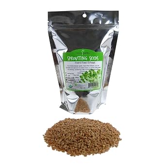 Handy Pantry Organic Wheatgrass Seeds For Wheat Grass, Cat Grass, Food | Storage & More Hard Red Wheat 1 Pound