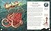 The Book of Mythical Beasts and Magical Creatures: Meet your favourite monsters, fairies, heroes, and tricksters from all around the world