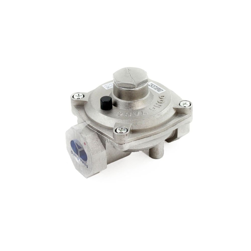 Amazon.com: ForeverPRO WB19T10078 Pressure Regulator for GE  