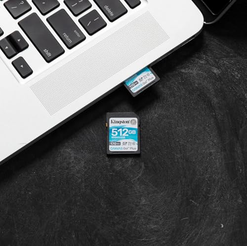 Kingston Canvas Go! Plus Carte SD 64GB SDXC 170R C10 UHS-I U3 V30