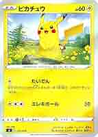 キラ 100枚セット まとめ売り DPなど ブイズ ピカチュウ Amazon.co.jp: ポケモンカードゲーム 123/S-P ピカチュウVMAX 雷