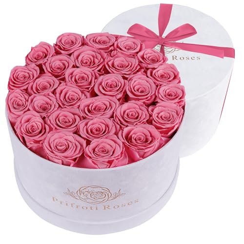 27 Flowers in a Luxury Suede Box, Birthday Gifts for Women, Preserved Flowers, Mothers Day Roses Gift for Mom, Light Pink