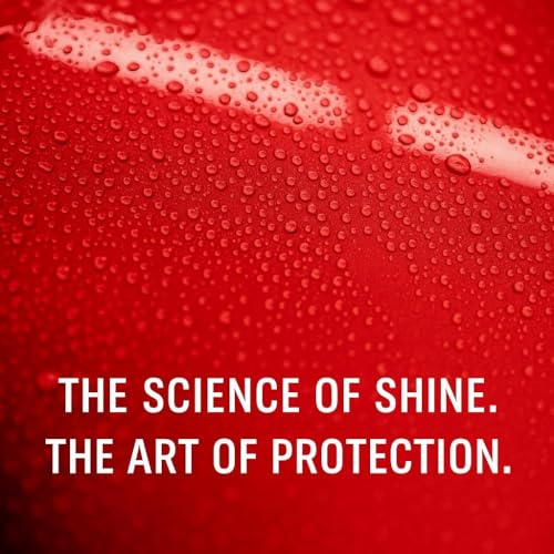 Image of Waxpol Silky Touch Car & Bike Spray Polish 100ml(Set of 72) | Instant Shine & Paint Protection | Hydrophobic High Gloss, UV Protection, Quick 10 Min Application