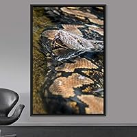 Framed Canvas Wall Art Snake Contemporary Dramatic Hallway Multicolor Photography Reptiles Snakes - 16x24 inches