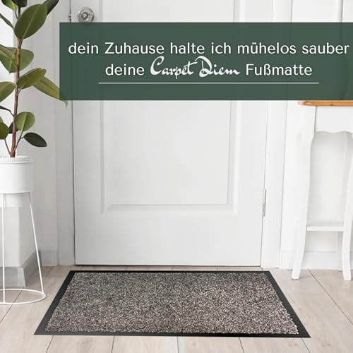 Carpet Diem Prestige Schmutzfangmatte schön und haltbar, Premium Fußmatte innen & außen - Sauberlaufmatte für Eingangsbereich, Flur & Haustür - Beige-Schwarz 40x60 cm