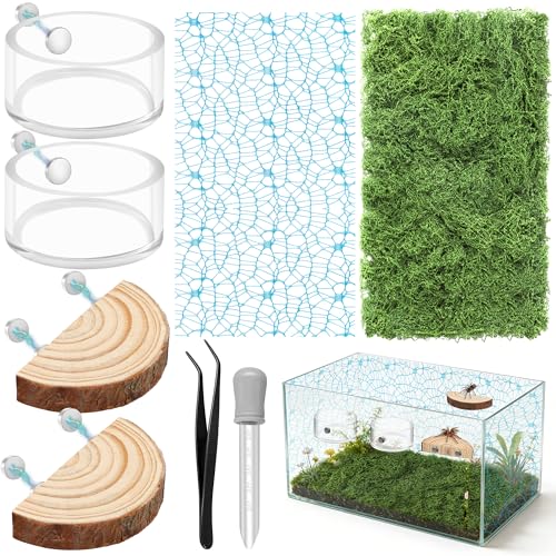 Windspeed 8Pcs Jumping Spider Enclosure Stuff Kit with 2 Jumping Spider Enclosure Ledges 2 Tarantula Feeding Dish 1.8 Ounce Fake Moss 1 Dropper 1 Clamp