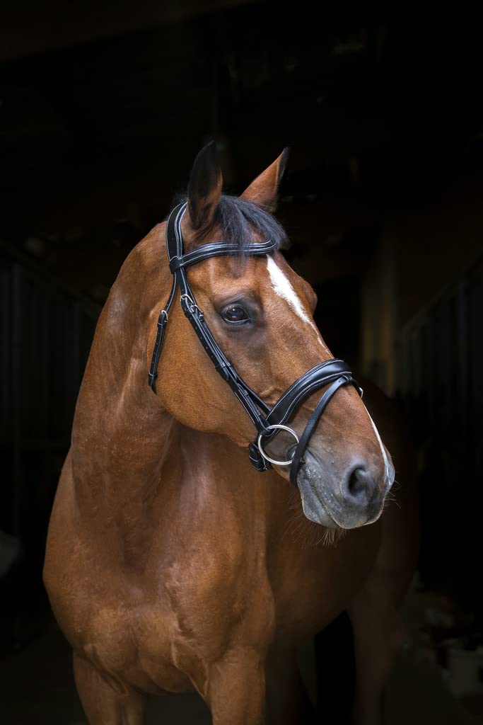 Eric Thomas Bridon Pro Wave - Couleurs - Noir, Taille Equipement Cheval - Cheval