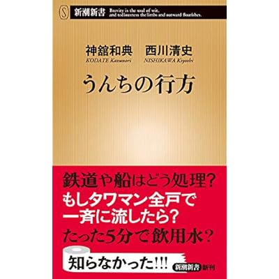 ������ι��� (��Ĭ����)