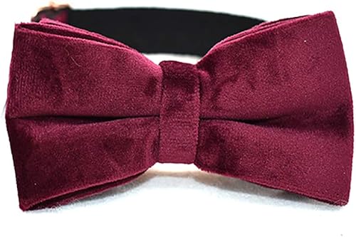 Miniatura 2 de Love Dream Collar de perro Bowtie, collares de terciopelo para perro con hebilla de metal desmontable con corbatín, collares ajustables suaves y