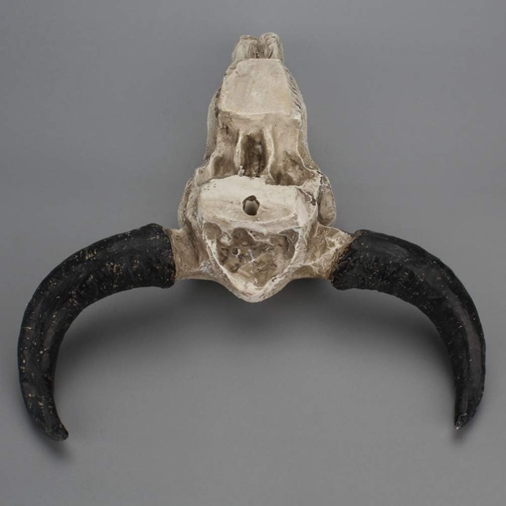 VORCOOL 1PC Long Horned Cow Skull Wall Hanging Skeleton Cow Long Horned Wall Hanging Halloween Decoration Props for Home Decorating - Image 5