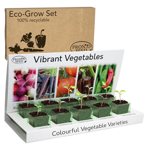 Pronto Seed Grow Your Own Vegetable Garden Kit with 5 Easy-to-Grow Seed Varieties – Indoor & Outdoor Gardening Set – Gift Set – Beginner-Friendly (Vegetable Kit)