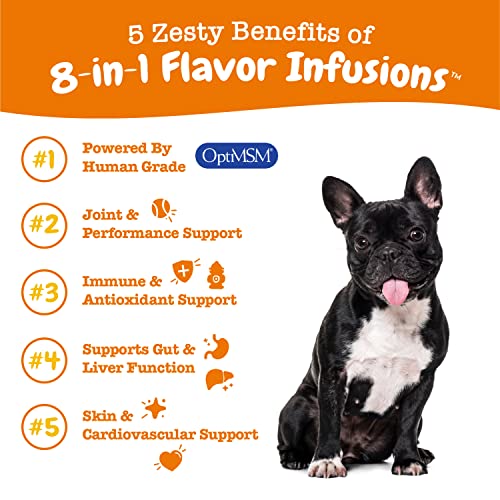 Zesty Paws 8-In-1 Flavor Infusions For Dogs - Glucosamine, Chondroitin, And Msm For Pet Hip & Joint Health - Omega 3 Fish Oil For Skin - For Dog Gut, Immune, Heart, Kidney & Liver Support - 16 Fl Oz #TOP2