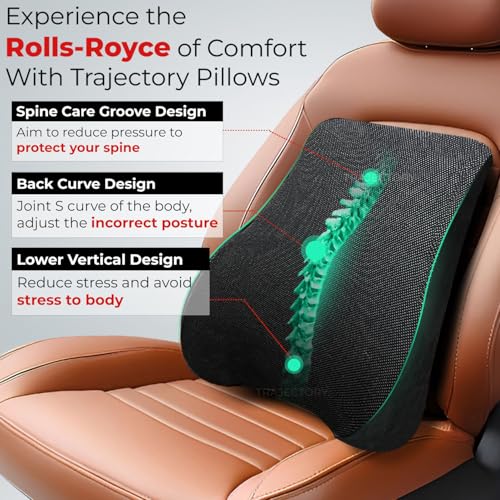 Image of Trajectory Backrest Pillow with ADVANCEDX Memory Foam & GRIDMATRIX Fabric for Superior Back Pain Relief, Posture Support, and All-Day Comfort - Ideal for Men & Women (Black)