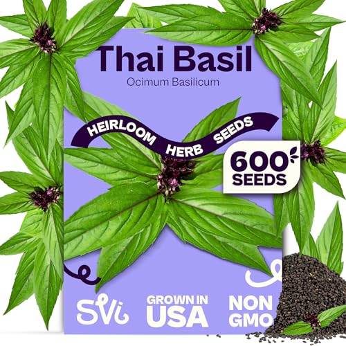 SVI 600 Sweet Thai Basil Seeds (Ocimum basilicum) Basil Seed Packets Aromatic Heat-Tolerant Non GMO Heirloom Herb Seeds for Containers Outdoor & Indoor Herb Garden