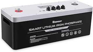 Renogy 48V 50Ah Smart LiFePO4 Lithium Iron Phosphate Battery Deep Cycle Battery, Built-in BMS, 4500+ Life Cycles, for RV, Marine, Trailer, Self-Heating