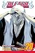 Bleach, Vol. 20