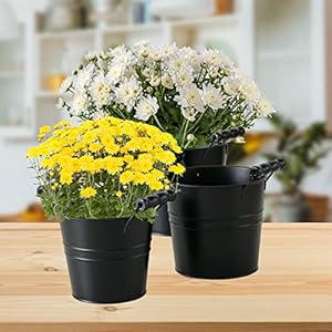 WHW Whole House Worlds Farmers Market Planters Set of 3 Turned Wood Handles Black Zinc Rolled Top Rustic Country Style Cache Pot Containers 675 625 and 55 Inches