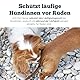 Sensipharm Anti Flirt Spray für Hunde - Schützt läufige Hündinnen vor Rüden, Reduziert Läufigkeitsprobleme beim Hund - 100 ml Sprühflasche - Einfache Anwendung