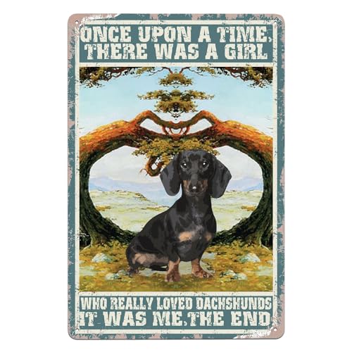 Letrero de metal divertido Once Upon a Time, letrero vintage para el hogar, cocina, bar, garaje, patio, cueva, cafetería, club, decoración de pared, letrero artístico de 8 x 12 pulgadas