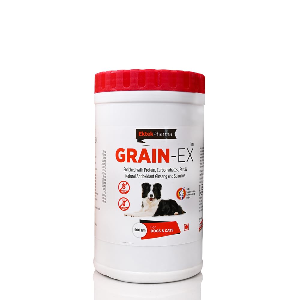 Grain-EX Powder 500GM (B0CZ49GBX9) Amazon Price History, Amazon Price Tracker