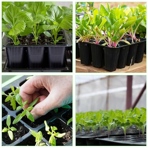 DYVXCIP Anzuchtschale,15 Stück 180 Zellen Anzuchtset,Wiederverwendbar,Mini Propagator,Mini Gewächshaus Anzucht, Schwarze Kunststoff-Setzlings-Tabletts mit Drainagelöchern,Für Setzlingpflanzen